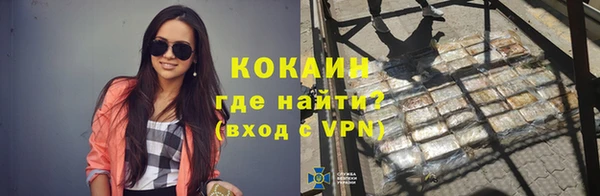 дмт Абаза