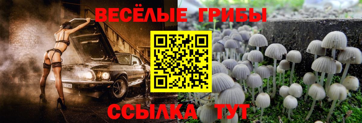 Галлюциногенные грибы Cubensis  Вход с VPN  Псилоцибиновые грибы Cubensis  Орск 